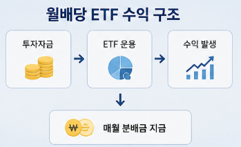 월배당 ETF, 매달 돈이 들어온다는 말